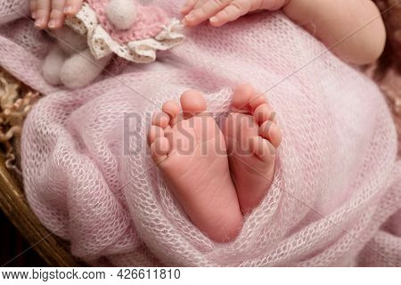 Newborn Baby In A Pink Plaid. Tiny Hands, Fingers. Bunny Toy. Babys Feet.