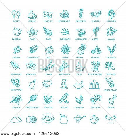 Thin Line Spices, Condiments And Herbs Icons Set