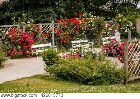 Velke Brezno, Czech Republic, 26 June 2021: Chateau Velke Brezno, Small Rose Garden In Castle Park W