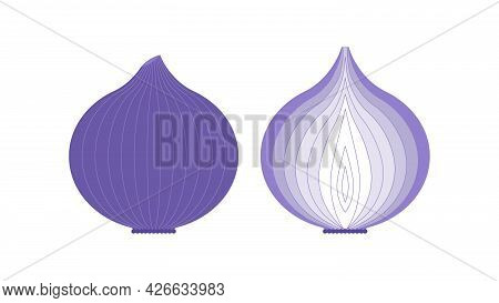 Onion. Minimal Style Blue Bow In The Cut. Minimalistic Violet Onion, Top View. Abstract Geometric Ve