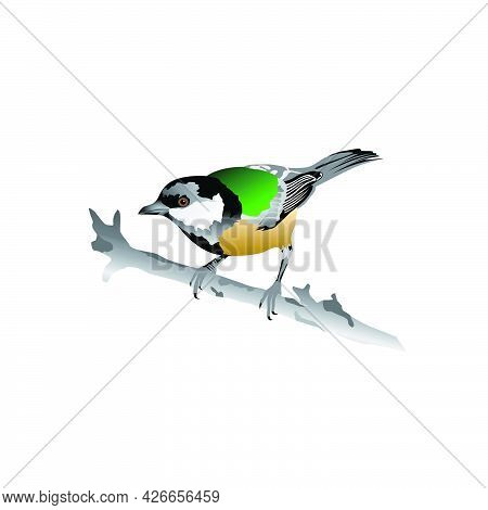 Attractive And Colorful Cute Bird Illustration With An Attractive And Attractive Appearance