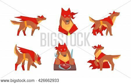 Muscular Brown Dog In Superhero Red Cloak As Guard Vector Set