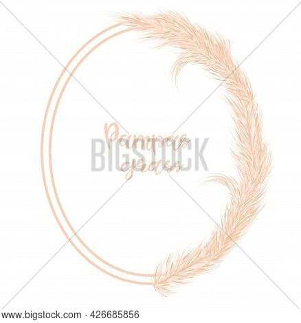 Dry Pampas Grass Frame. Decor Of Invitations, Postcards In The Boho Style. Vector Illustration.