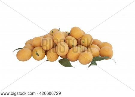Group Maprang Or Plum Mangos On The White Background With Clipping Paths. Thai Summer Fruit Has A Sw
