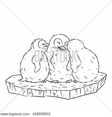 Cartoon Illustration Of A Cute Three Baby Penguins On Ice Floe. Vector Stock Comic Style Image