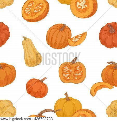 Seamless Autumn Pattern With Pumpkins And Squashes On White Background. Endless Repeatable Texture O