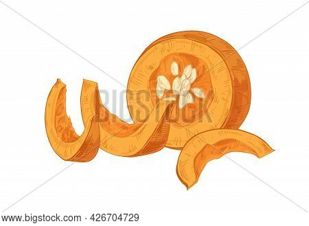 Cut Pumpkin Pieces With Fleshy Pulp And Seeds. Vintage-styled Hand Drawn Composition Of Autumn Orang