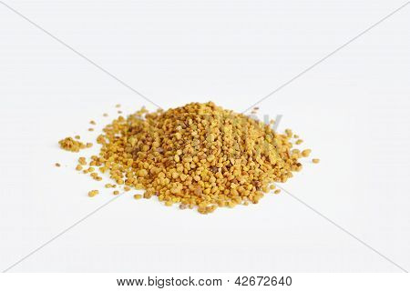 Pollen korn
