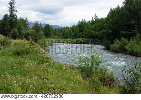 Tempestuous Mountain Stream In Mountain By Summer