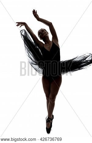 Expressive Female Ballet Dancer In Body Suit And Flying Dress Posing In Dance In Various Poses Again