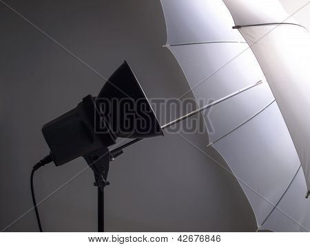 Light Umbrella