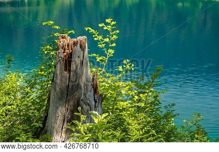 Natural Scene At The Lake Caumasee, Located In The Southern Part Of The Municipality Of Flims In The