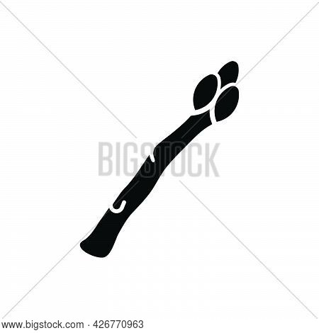 Sparrowgrass Icon. Meticulously Designed Vector Eps File.
