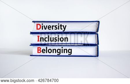 Dib, Diversity, Inclusion And Belonging Symbol. Books With Words Dib, Diversity, Inclusion And Belon