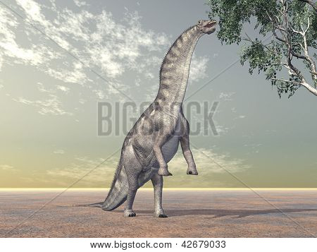 Dinosauruksen Amargasaurus