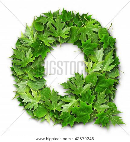 Lettres de feuilles