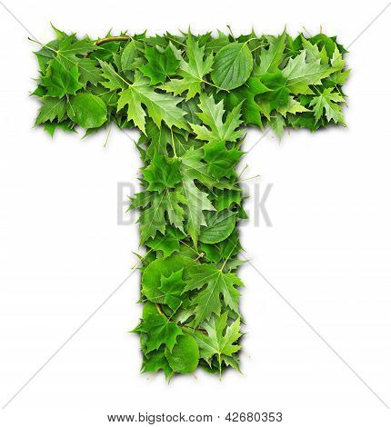 Lettres de feuilles