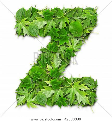 Lettres de feuilles