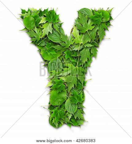 Lettres de feuilles