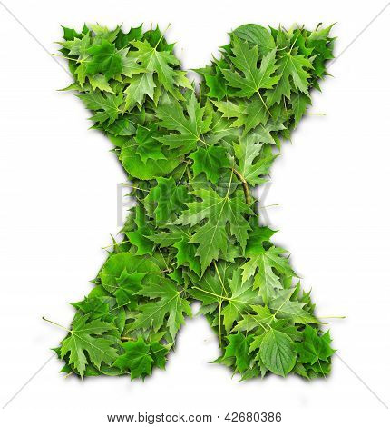 Lettres de feuilles