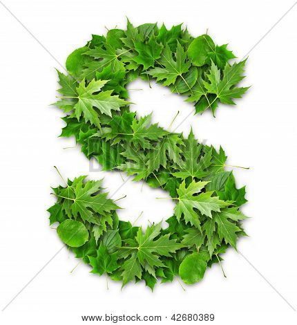 Lettres de feuilles