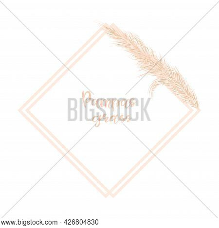 Background With Dry Pampas Grass. Decor Of Invitations And Postcards In The Boho Style. Vector Illus