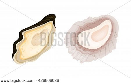 Oyster As Salt-water Bivalve Molluscs And Marine Delicacy Vector Set