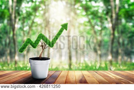 Small Plant In Pot Shaped Like Growing Graph. Business Growth Concept. Planning Savings Money Concep