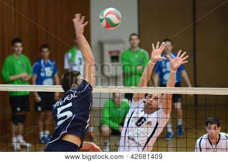 KAPOSVÁR, Unkari - 14 helmikuu: Balint Magyar (valkoinen 6) Unkarin mestaruuden volle toiminta