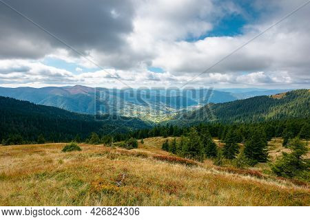 Mountain Landscape In Dramatic Weather. Beautiful Carpathian Countryside In Autumn. Coniferous Trees
