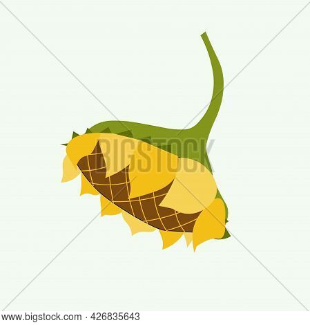 Sunflower Plant Yellow Flower On White Design Element Stock Vector Illustration For Web, For Print, 