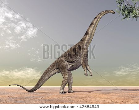 Dinozor Puertasaurus