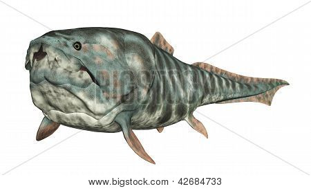 Dunkleosteus