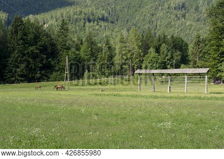 Traditional Slovenian Hayrack (kozolec). Wooden Construction For Drying Hay.