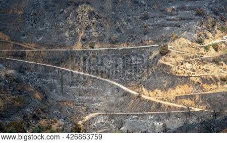 Mountain Fire With Burned Agriculture Land And Forest. Odou Village Cyprus. Disaster Of The Environm