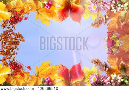 Multicolored Autumn Fall Mabon Festival Leaves Sunny Blue Sky Background