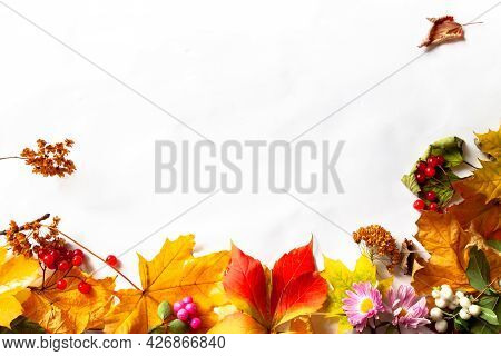 Multicolored Autumn Fall Mabon Festival Leaves White Background With Copy Space