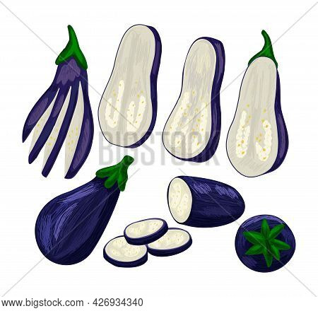 Dark Purple Fresh Set Of Eggplant Fruit.