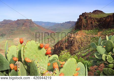 Gran Canaria Landscape - Mountain Landscape Of Fataga Gorge. Viewpoint Of Degollada De La Yegua.