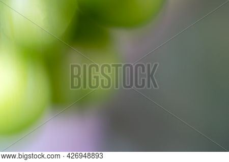 Background With A Defocused Image Of Grapes In Shades Of Green