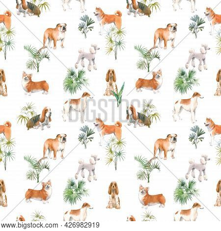 Beautiful Vector Seamless Pattern With Cute Watercolor Hand Drawn Dog Breeds Cocker Spaniel Greyhoun