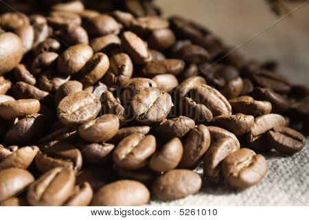 Næroptagelse af kaffebønner