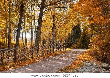 Old roundpole fence in autumn