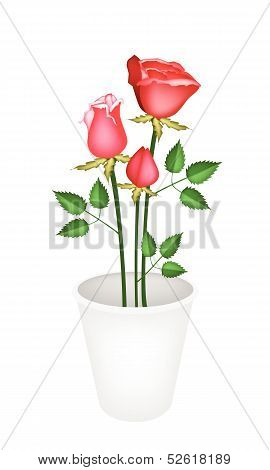 Illustration Red Roses In A Flower Pot