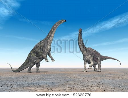 Dinosaur Diamantinasaurus