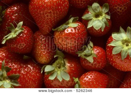 Tas de fraises récoltées