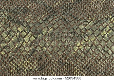Snake Skin Texture Background