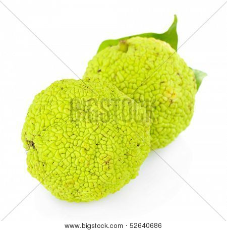 Osage Orange fruits (Maclura pomifera), isolated on white