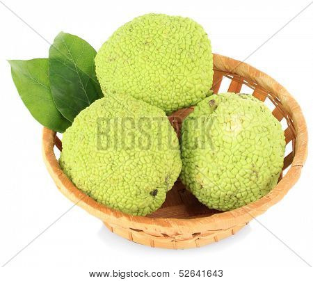 Osage Orange fruits (Maclura pomifera) in basket, isolated on white