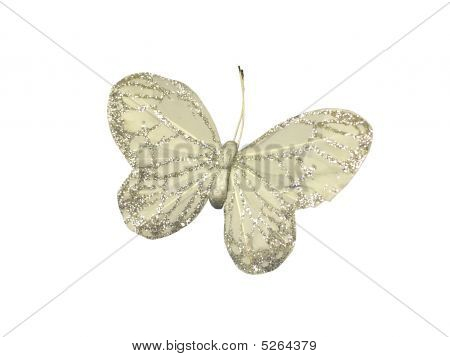 Motyl